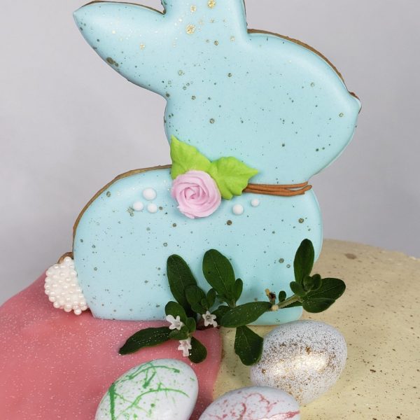 PhotoGrid_1677631464500