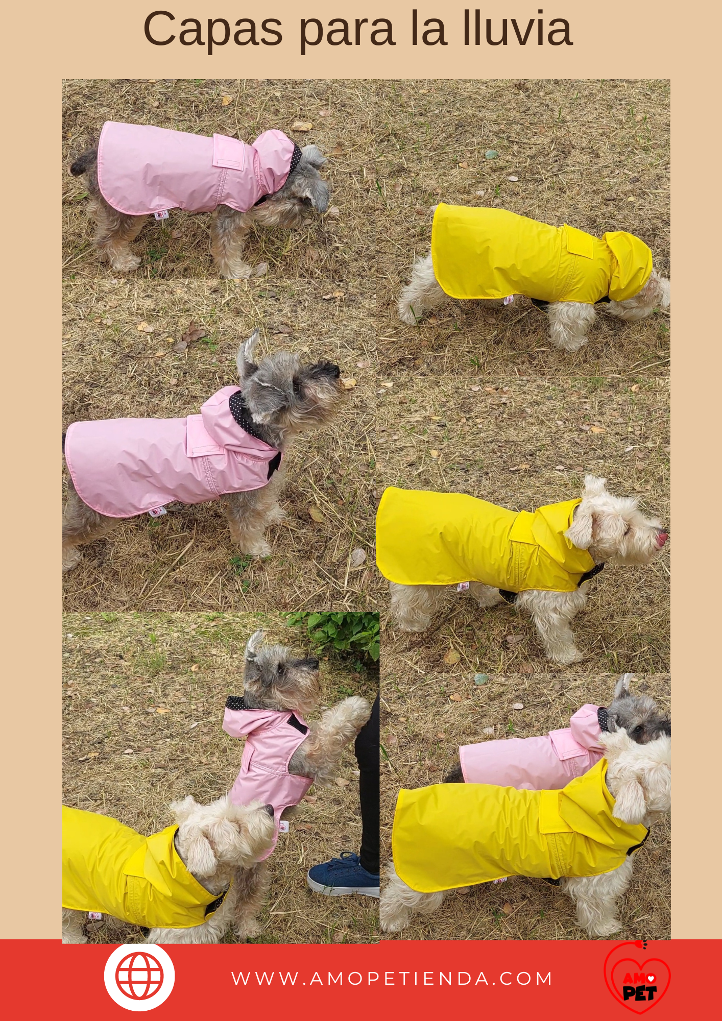 Capas para perro - Image 3