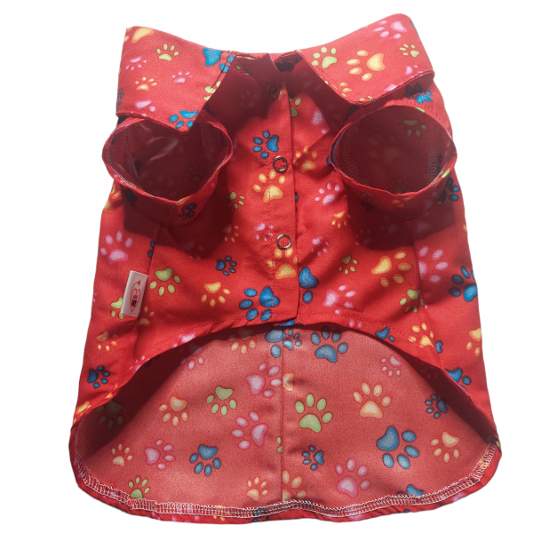 PhotoRoom-20230808_160733