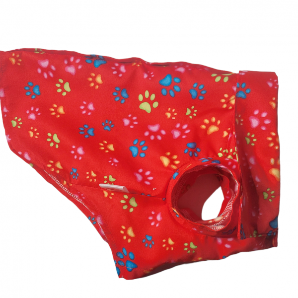 PhotoRoom-20230808_160856