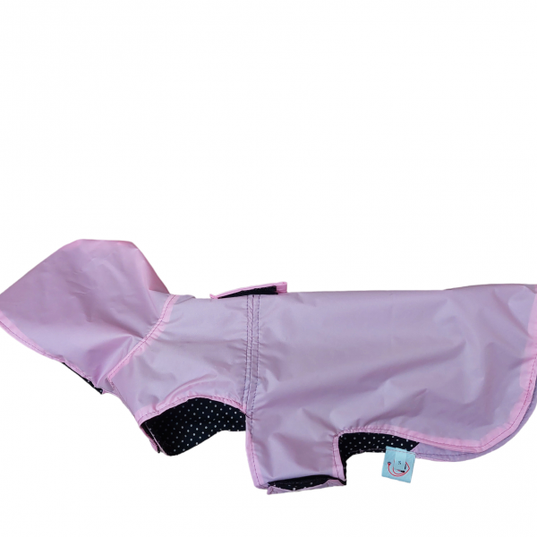 PhotoRoom-20230829_181245