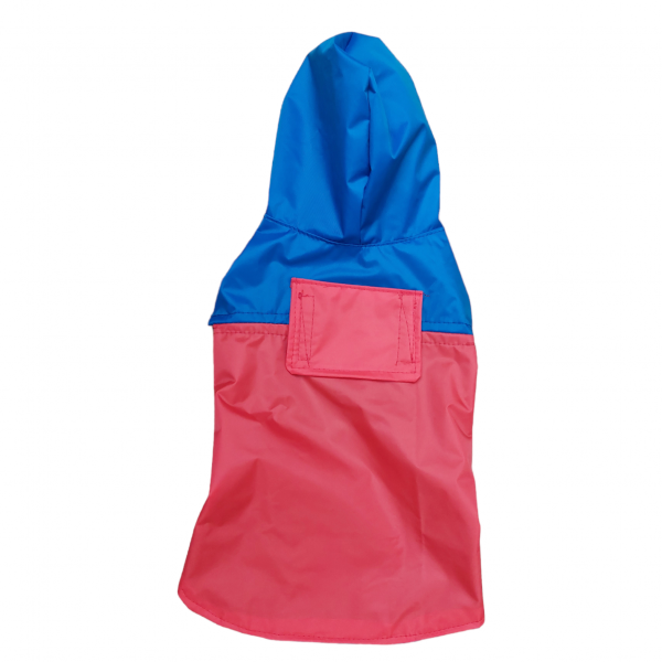 PhotoRoom-20230829_181440