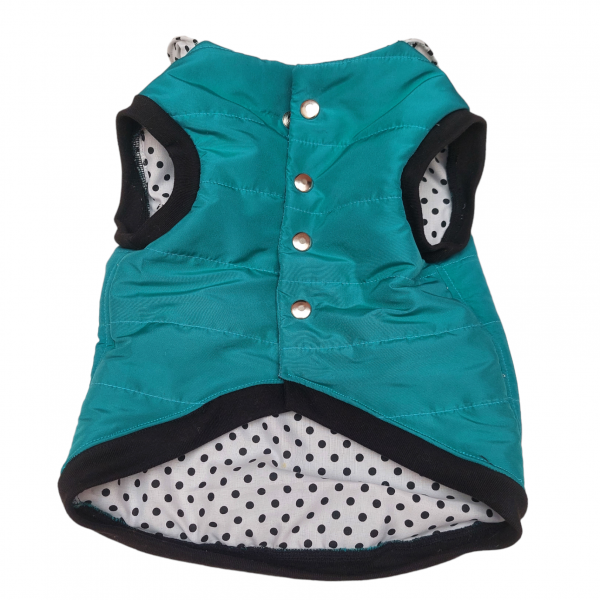 PhotoRoom-20231106_161211