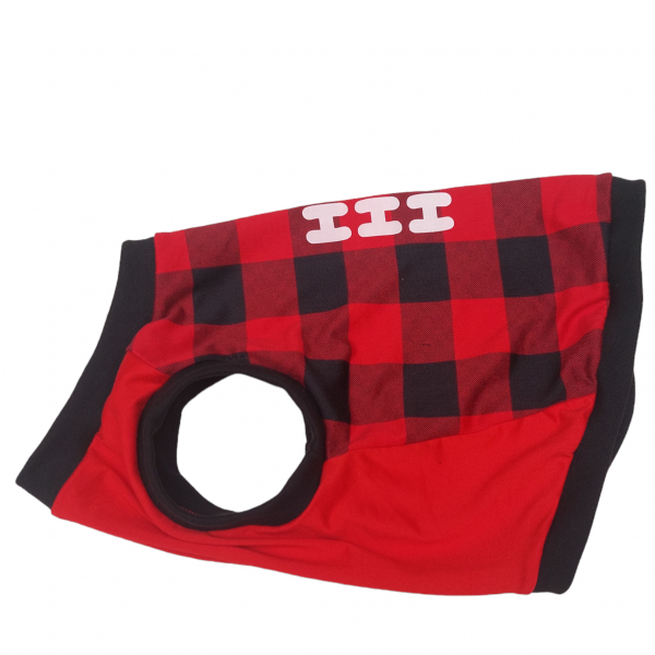 PhotoRoom-20231106_161510