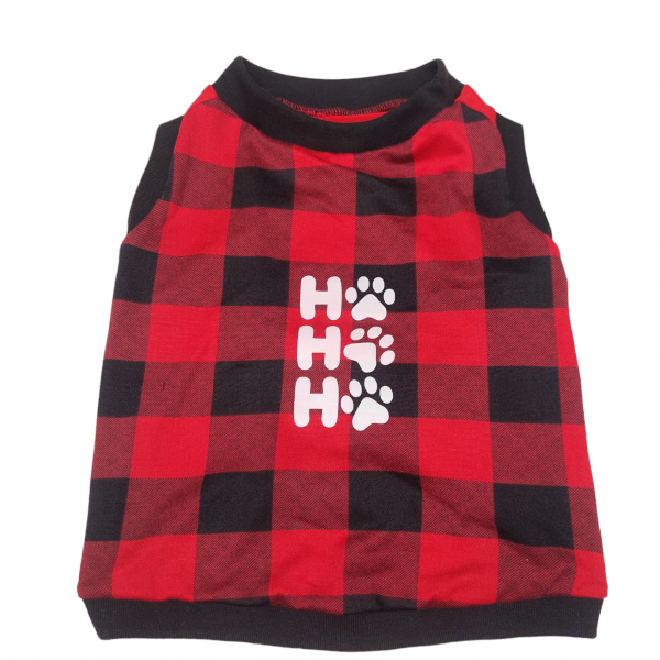 PhotoRoom-20231106_161604